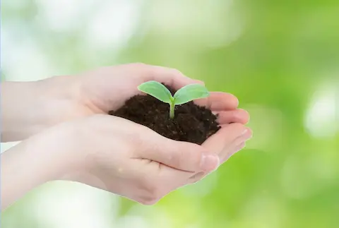 カーボンニュートラルを表現する画像