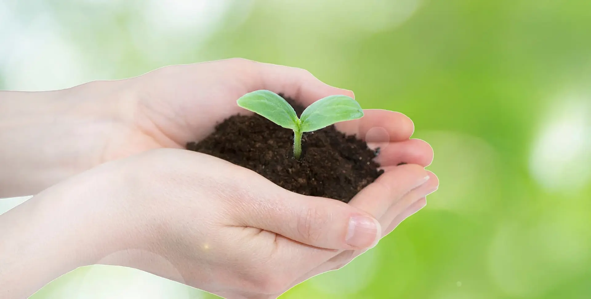 カーボンニュートラルを表現する画像